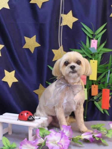 20230717ラルクくん